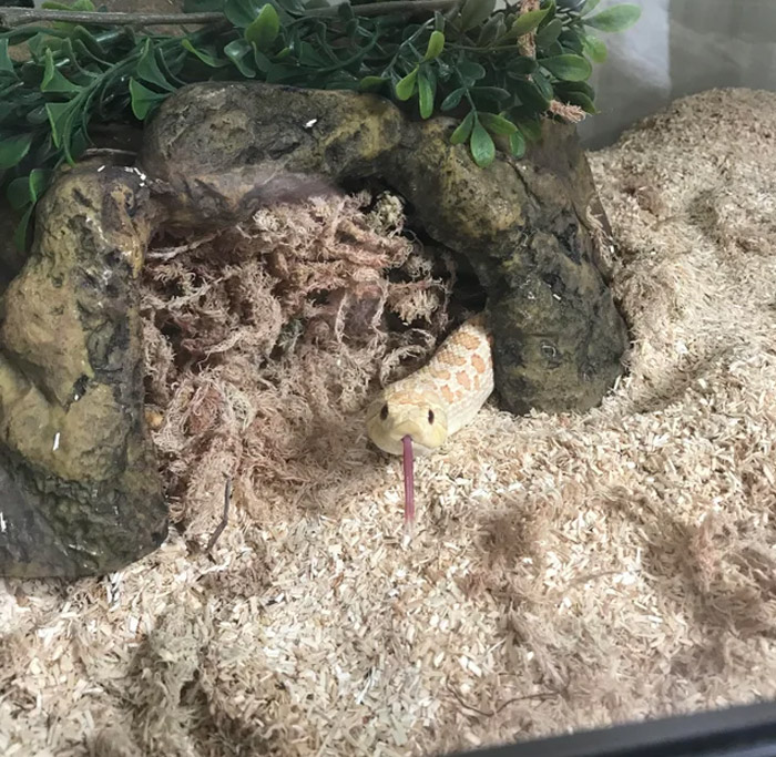 I Woke Up To This Cute Face