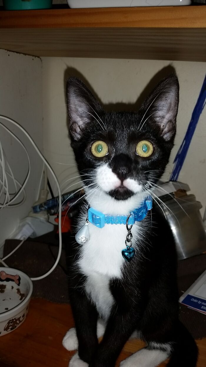 My Little Space Cadet