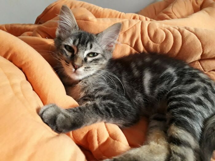 Baby Govinda Taking A Nap.