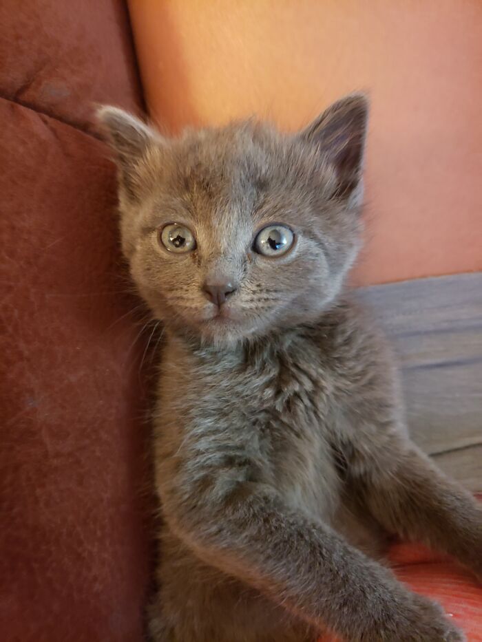 First Thunderstorm...