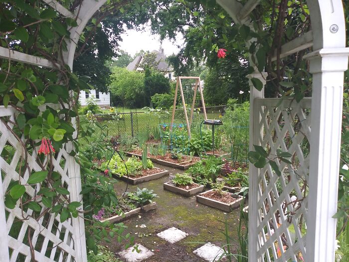 Beginnings In The Garden