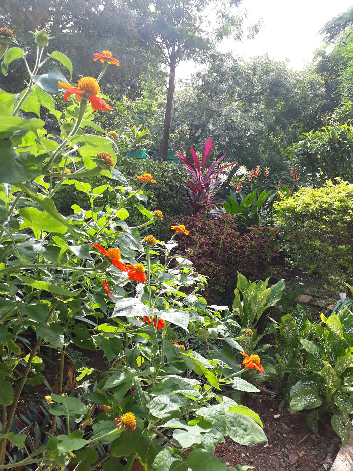 My Little Piece Of Heaven On Earth!