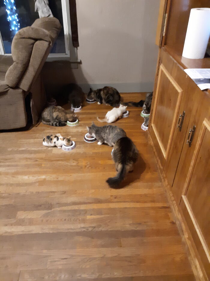 The Babies Are Going To Be 3 In November!