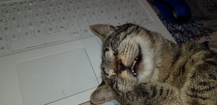 Charlie Shortly After His Adoption