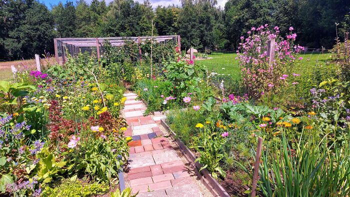 It Started As A Vegetable Garden