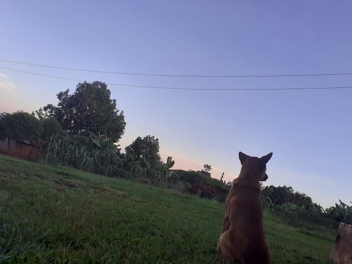Not So Pretty But This Is An Old Photo Taken In My Village In Uganda. The Last Of My Bestfriend Before He Went Missing. I Miss Him So Much.