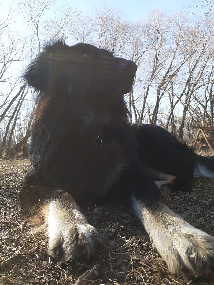 Luna Beam At 9 Months. My Best Friend ❤️