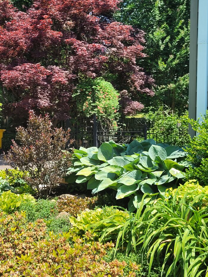 A Little Slice Of My Slice Of Heaven