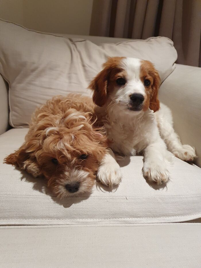 My Babies Were Always Adorable!