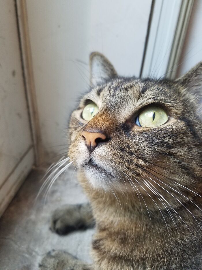 My Beautiful Lil Noodle