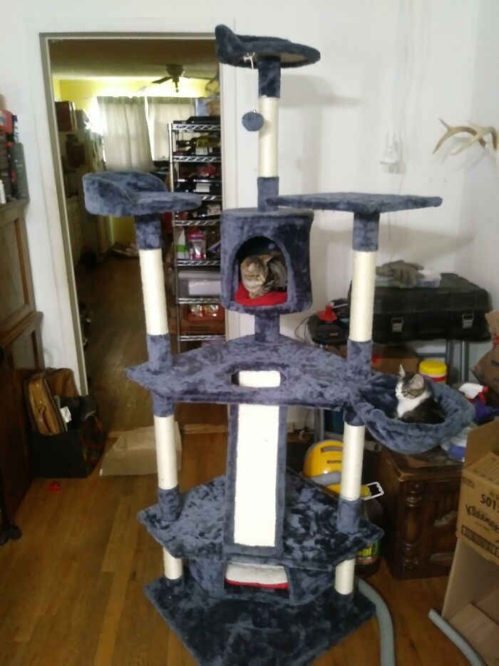 Baker At 3 Months And Storm At 2 Months