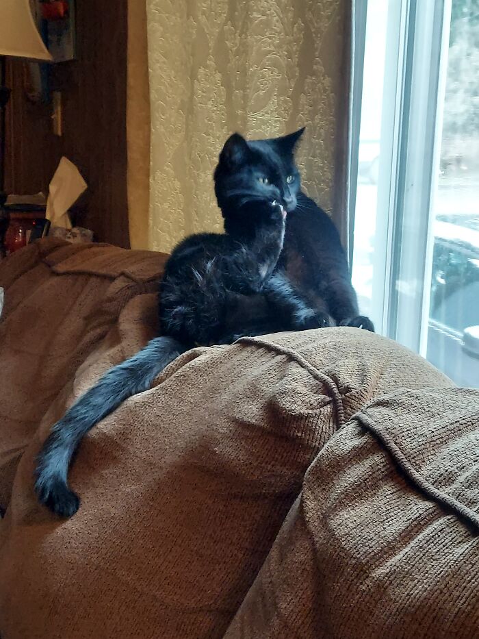 Got Distracted While Chewing On Her Toe Nails