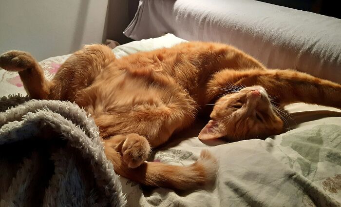 He Took My Pillow And Much, Much More