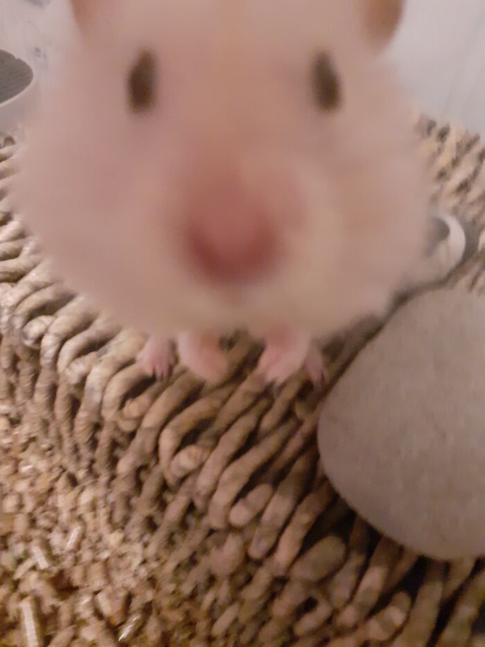 Do You Have Games On Your Phone???