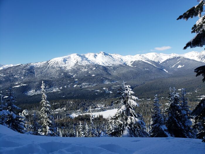 Beautiful Morning In Whistler, Canada