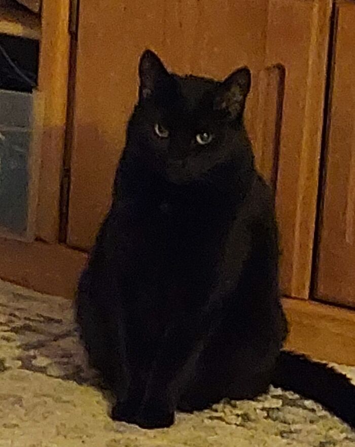 The Glare (After I Told Her It's Not Nice To Bite Grandma)