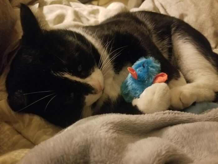 Socks With His New Friend