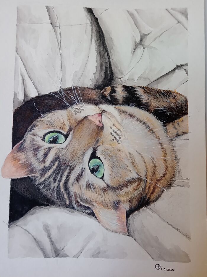 Crumbs. Water Colour And Aquarelle Pencils