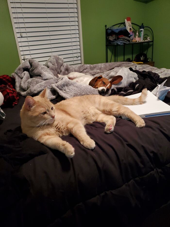 Kiiro And Guin Again, I Tried To Upload Several Photos It Only Put Up The Worst One