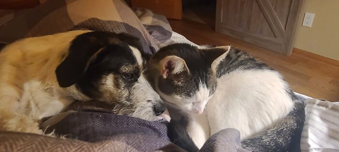 Definitely And Luigi Best Pals