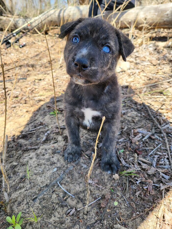 Our First Adventure To The Lake To Fish