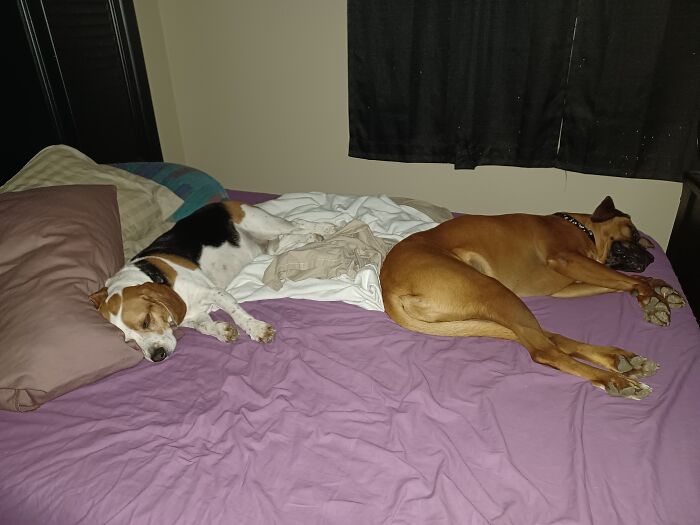 Best Part Of My Life