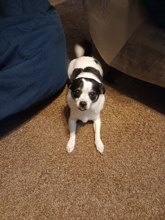 Her Name Is Harley Sue Sue