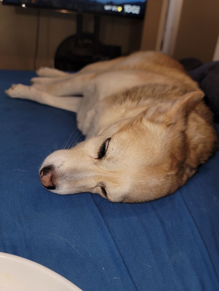 Whiley Taking It Easy.