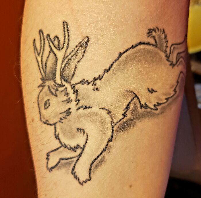 Tattoo of a mythical jackalope with antlers on a person's arm.