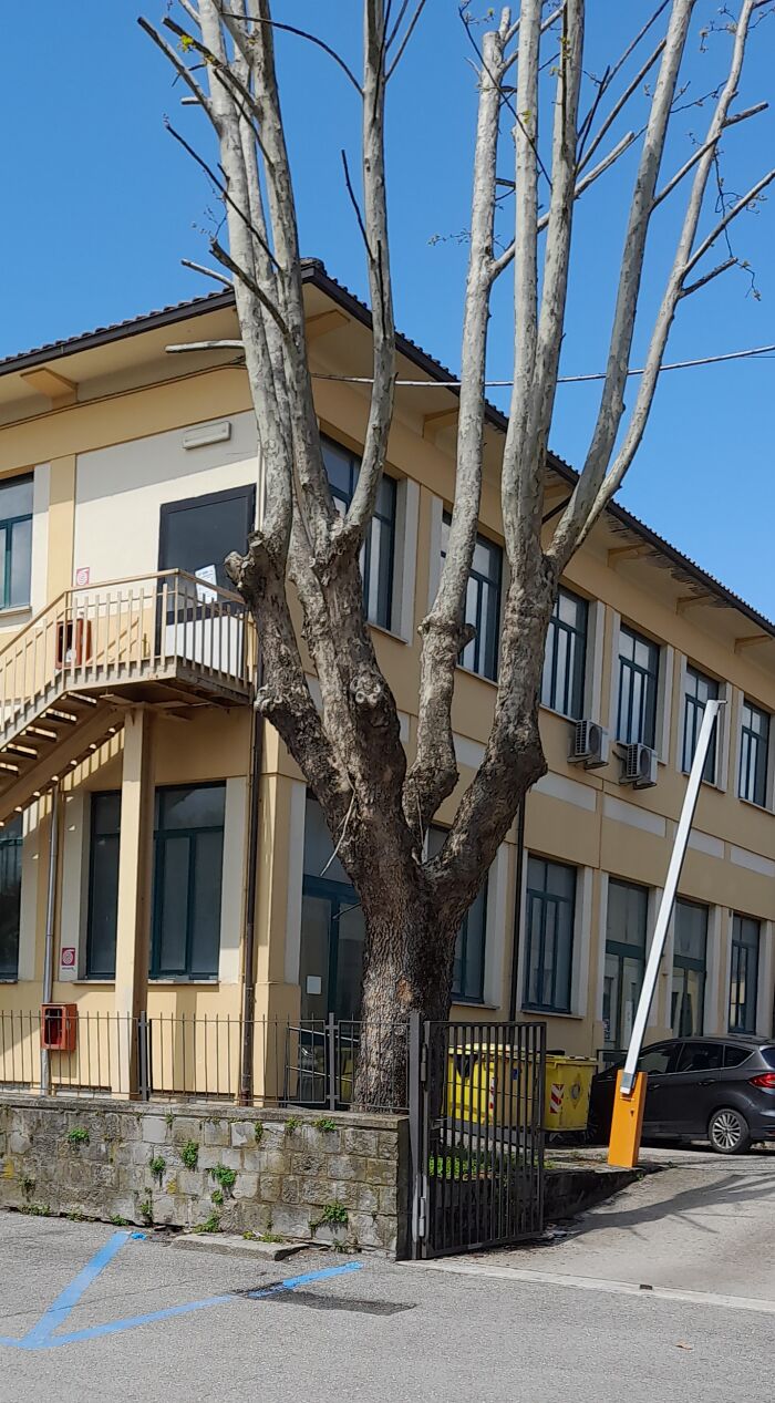 Wish It Looked Like Hogwarts, But This Is Standard 50s School Architecture...