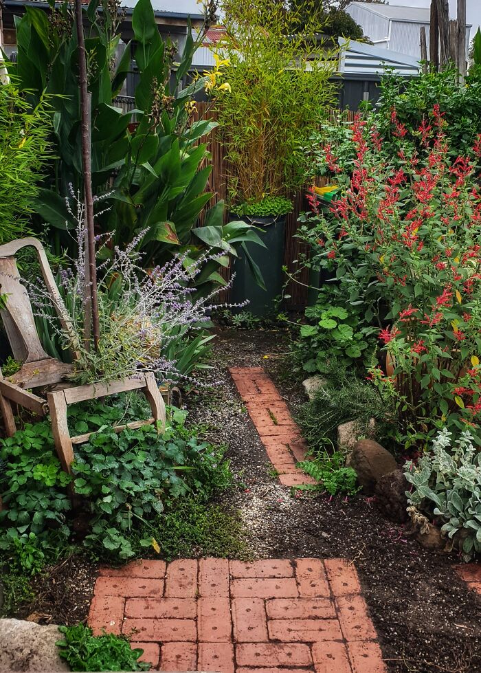 My Garden Is Tiny But That Doesn't Stop Me From Cramming In The Plants!