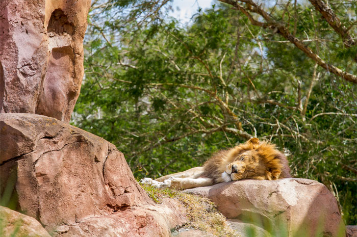 40 Bits Of Knowledge People Learnt That Feel Almost Illegal To Know, Shared In This Online Group