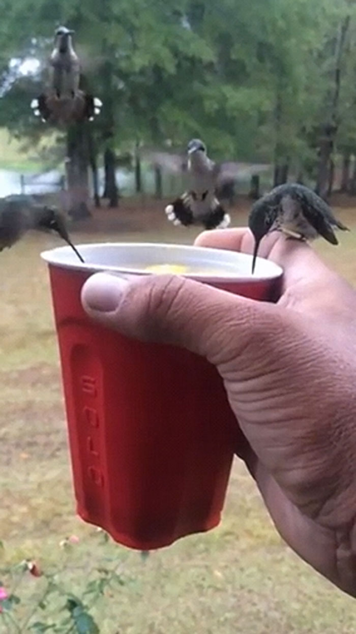 "I'm A Disney Princess Now"