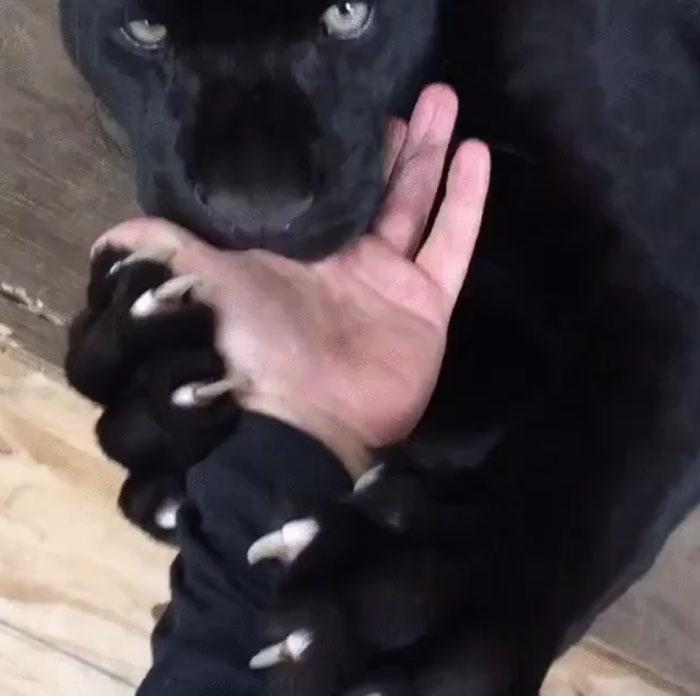 I Guess I Don't Need Ten Fingers