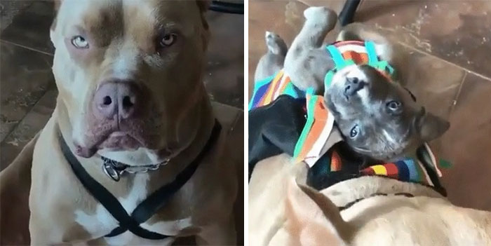 I Didn't Sign Up For This