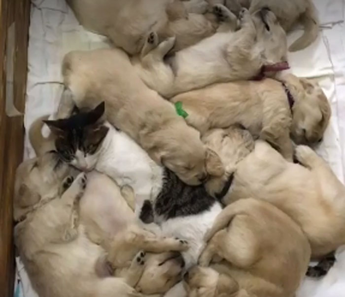 One Of These Things Is Not Like The Others!