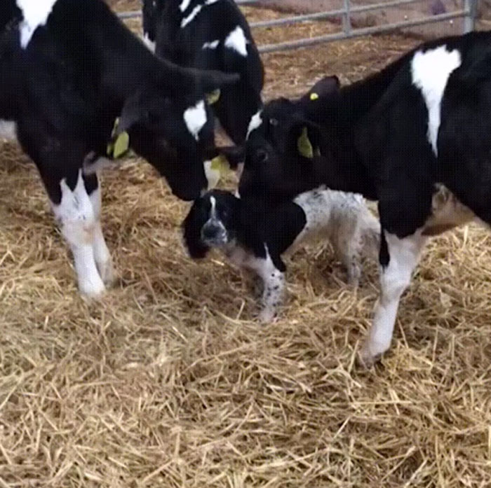 Looks Like I'm One Of Them Now