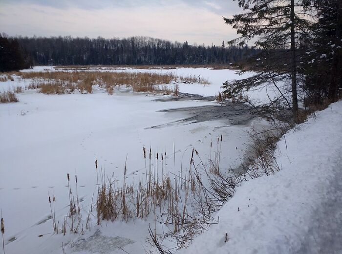 32 Folks Who Could Have Met Their End Due To Their Own Stupidity, As Shared Online