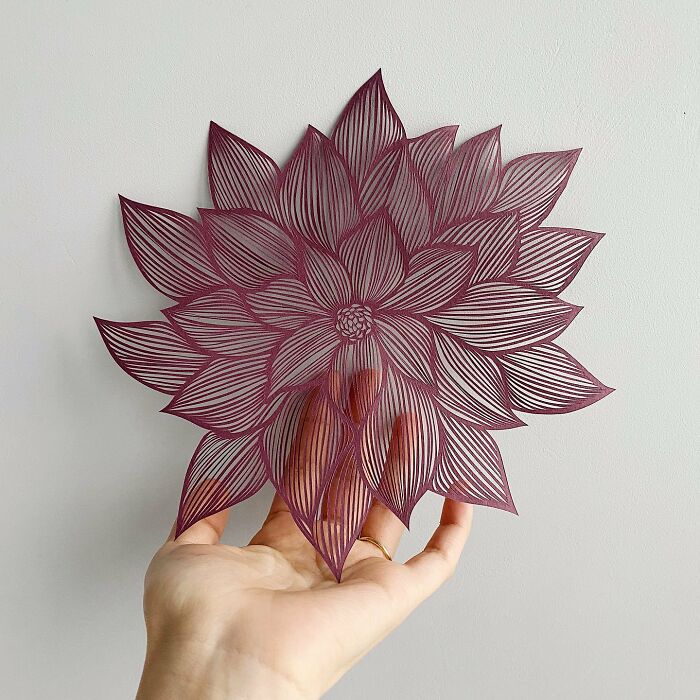 I Create Intricate Laced Paper Cuts Inspired By Nature