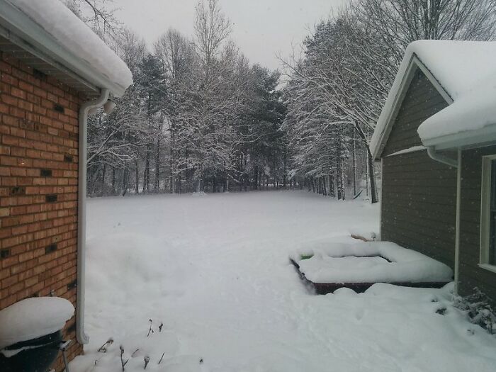 32 Folks Who Could Have Met Their End Due To Their Own Stupidity, As Shared Online