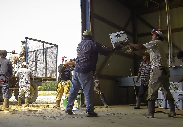 Person Asks "What Happened At Your Work Which Caused Multiple People To All Quit At Once?", And 30 Folks Online Deliver