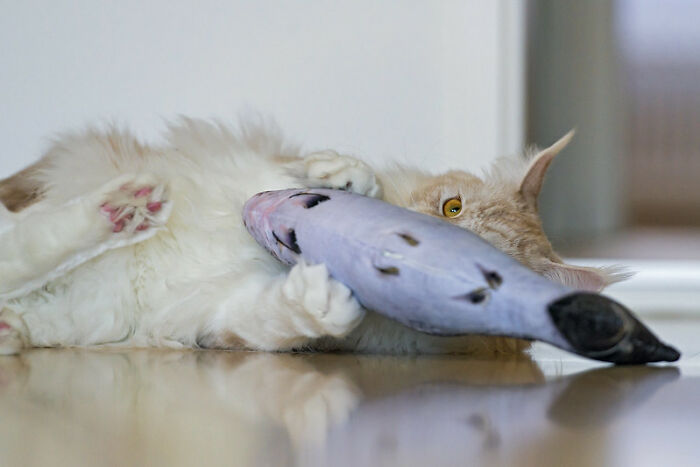 30 People Share Unexpected Gifts They Received That Turned Out To Be Very Valuable