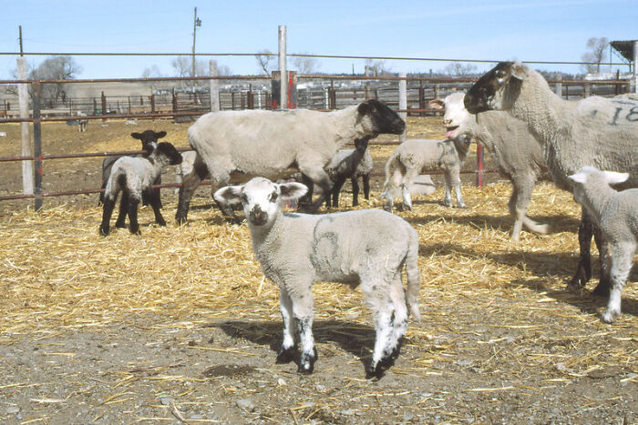 30 Of The Darkest Realities People Often Choose To Live In Denial About, As Shared By Folks Online