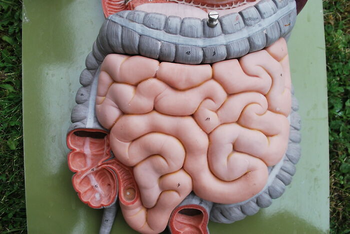 35 Stories That Sound 100% Made Up But Are Actually True