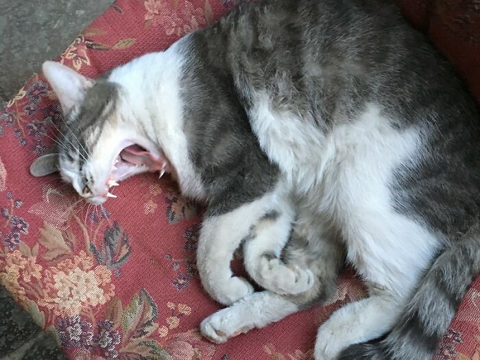 40 Of The Smallest Hills People Are Prepared To Die On, As Shared In This Online Group