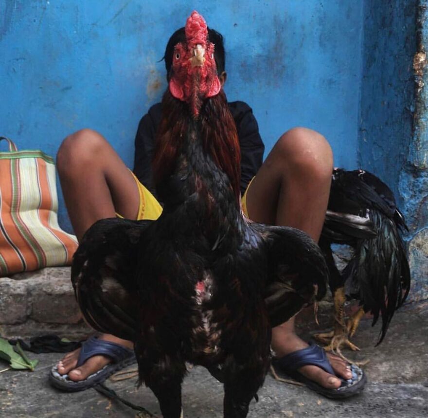 This Instagram Account Features Amusing Street Photographs And Has More Than 500 Thousand Followers (95 New Pics)