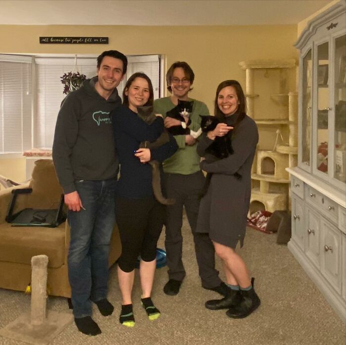 3 Cute Cats Were Thrown Away Like Garbage, Found New Family And Now Are Filling Their Home With Love And Joy