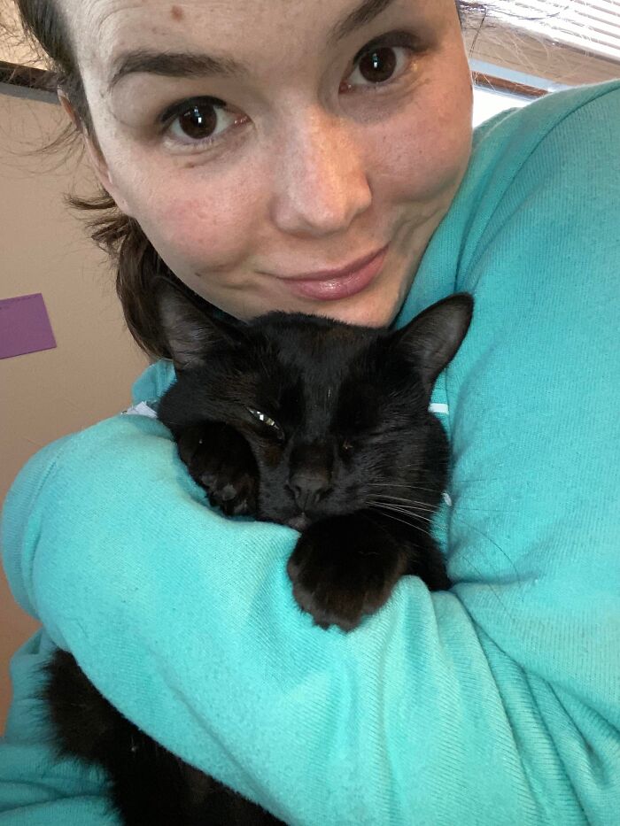 3 Cute Cats Were Thrown Away Like Garbage, Found New Family And Now Are Filling Their Home With Love And Joy