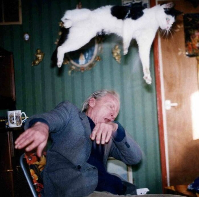 This Instagram Account Features Amusing Street Photographs And Has More Than 500 Thousand Followers (30 New Pics)