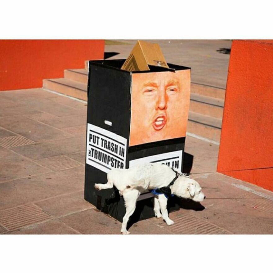 This Instagram Account Features Amusing Street Photographs And Has More Than 500 Thousand Followers (95 New Pics)